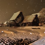 雪雪